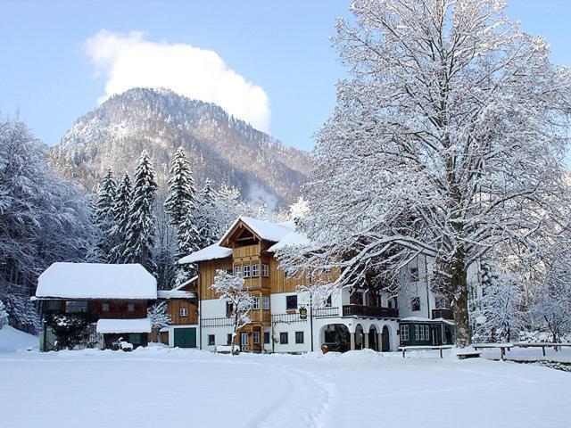 Waldpension Goschlseben Grünau im Almtal Exteriér fotografie